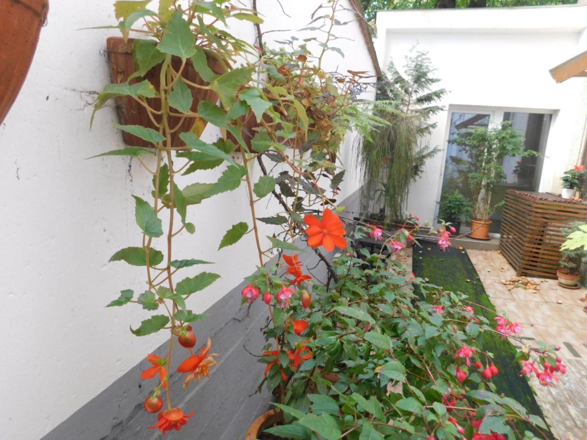 Apartamento Buda Trió