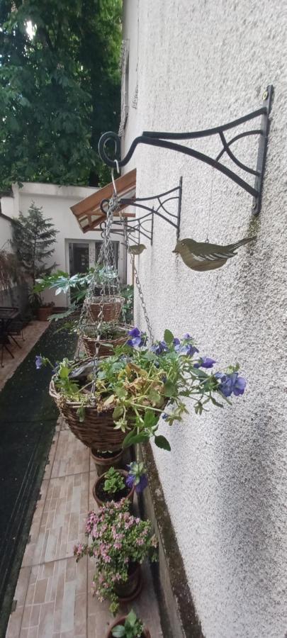 Buda Trió Apartamento *